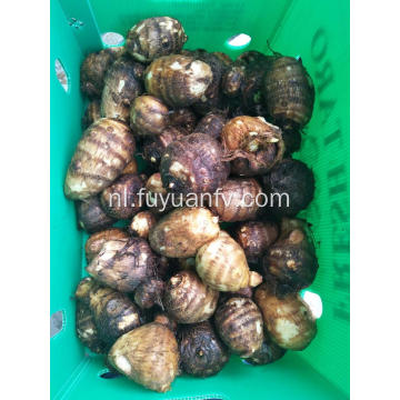 Verse grote taro in plastic doos van 9 kg